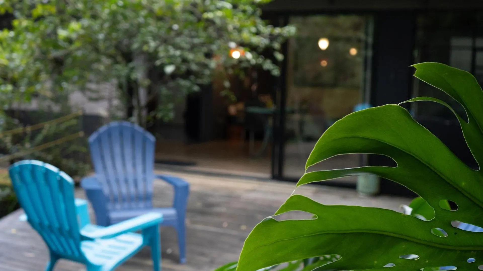 Central House In El Poblado Surrounded By Nature Medellin