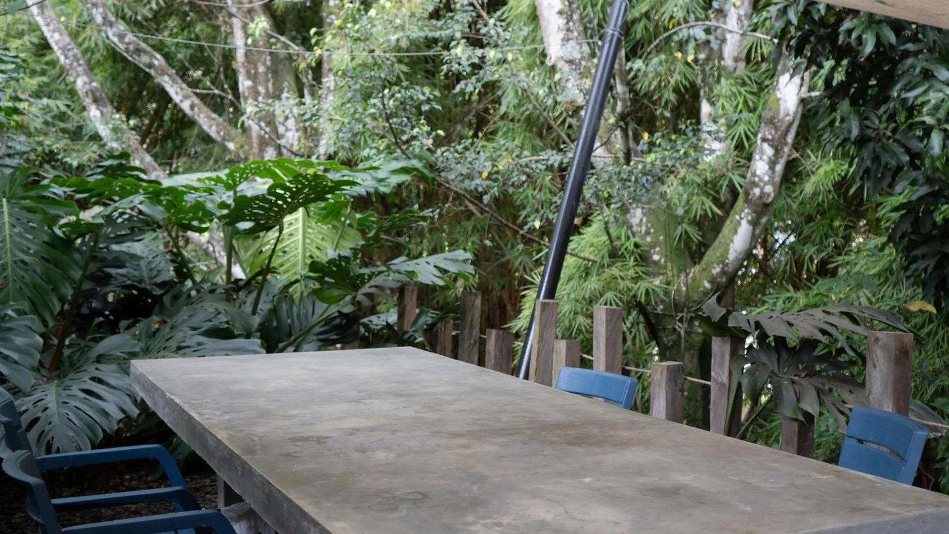 Central House In El Poblado Surrounded By Nature Medellin